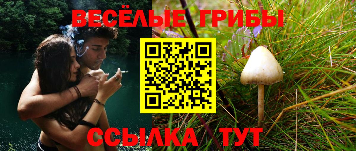 Псилоцибиновые грибы мицелий Ангарск