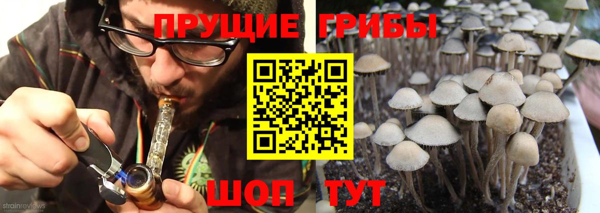 Галлюциногенные грибы мицелий  Вход с VPN  Ангарск 